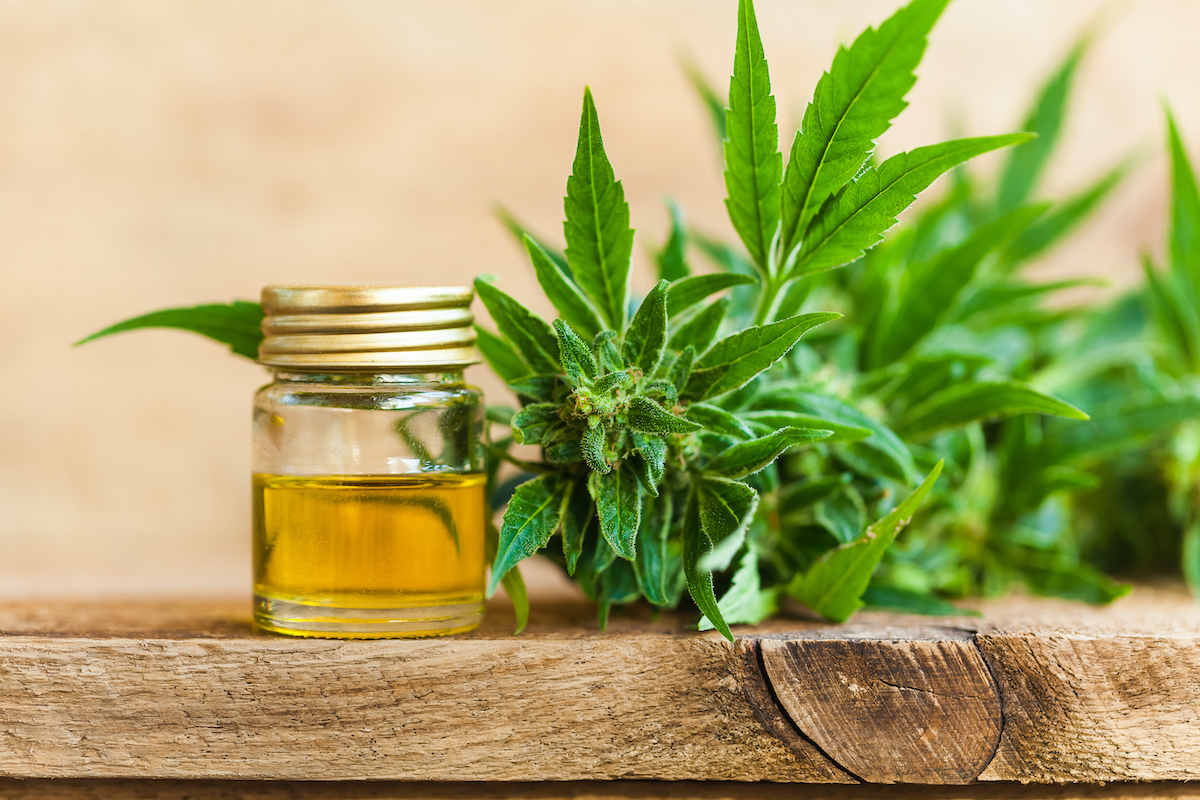 La légalisation du CBD en France