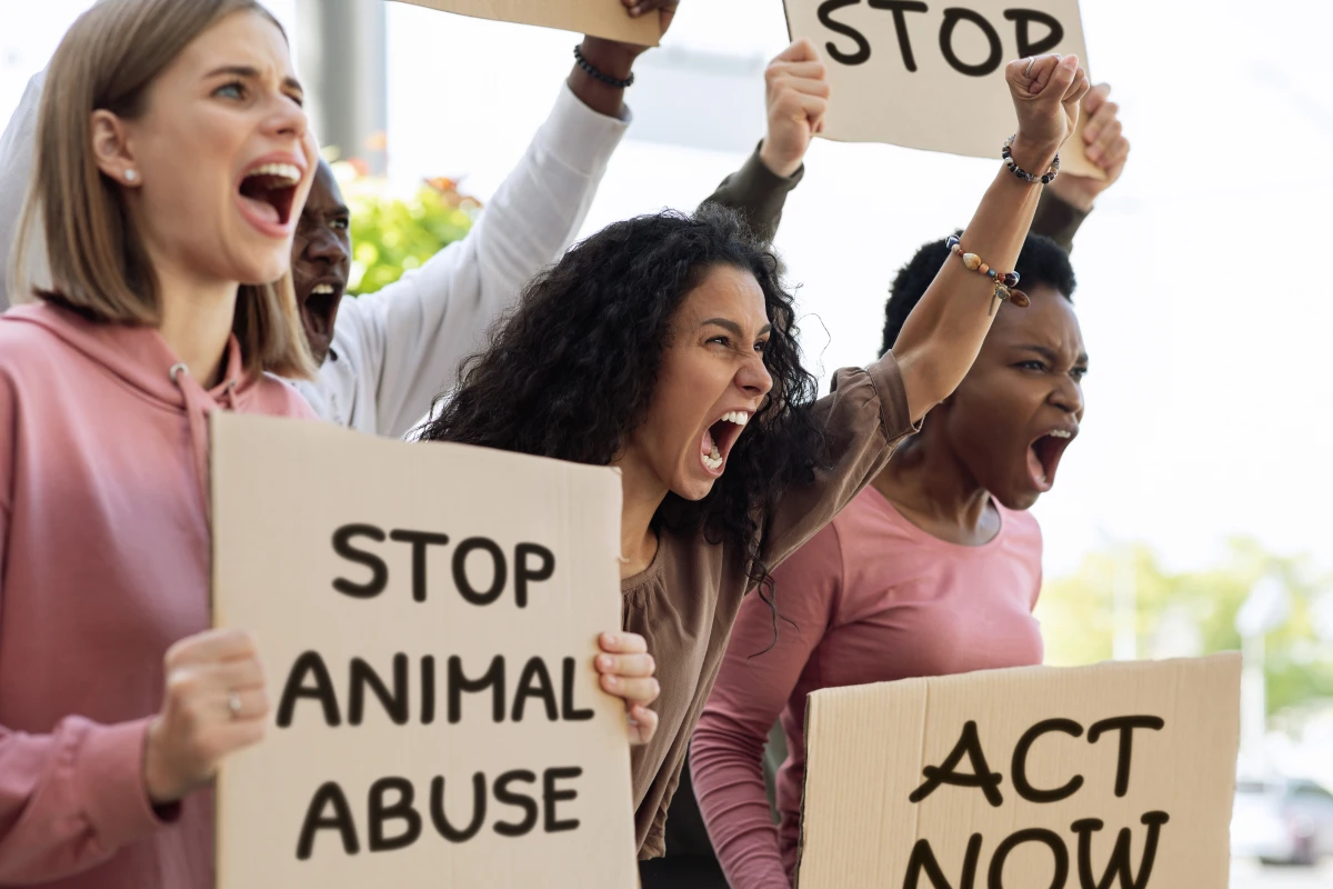 Le Droit des animaux : une question de justice et de responsabilité