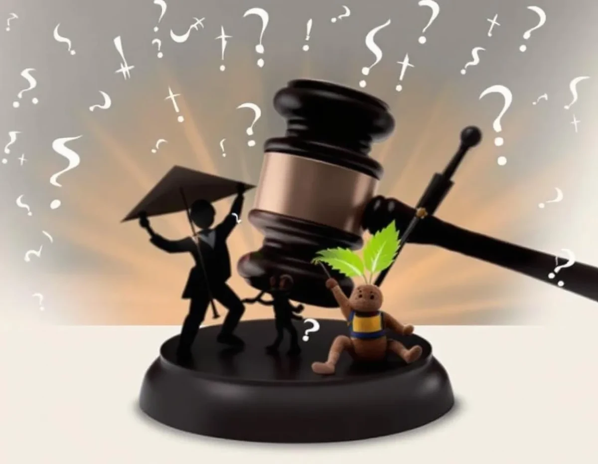L'onde de choc des arrêts récents : Quand la jurisprudence redessine les contours du droit familial